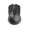 TRACER TRAMYS45447 Pelė Optinė belaidė TRACER Fairy Juodas RF NANO 2,4 GHz 1600 DPI