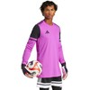 Adidas Marškinėliai bramkarska vyriška Squadra 25 Long Sleeve fuksja JC6209 (M)