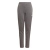 Kelnės adidas Tiro 21 Sweat Jr GP8809 (Feature-128cm)