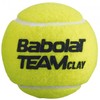 Babolat Team Molio Teniso Kamuoliukai 3 vnt. 501082