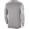 Bluza bramkarska vaikams Nike Dry Park IV JSY LS GK JUNIOR pilka CJ6072 052 (M)