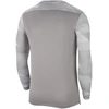 Bluza bramkarska vyriška Nike Dry Park IV JSY LS GK pilka CJ6066 052 (2XL)