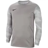 Bluza bramkarska vyriška Nike Dry Park IV JSY LS GK pilka CJ6066 052 (2XL)