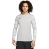 Bluza bramkarska vyriška Nike Dry Park IV JSY LS GK pilka CJ6066 052 (2XL)