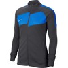 Nike Dry Academy Pro Džemperis W BV6932-060