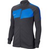 Nike Dry Academy Pro Džemperis W BV6932-060
