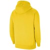 NII Nike Park 20 Hoodie yellow CW6957 719