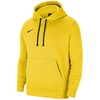 NII Nike Park 20 Hoodie yellow CW6957 719