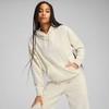 Puma Ess Script Comfort Hoodie W 684983 87