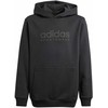 Adidas Allszn GFX HD Jr džemperis IS4661
