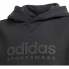 Adidas Allszn GFX HD Jr džemperis IS4661