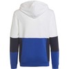 Adidas Junior "Colourblock" džemperis