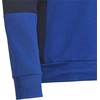 Adidas Junior "Colourblock" džemperis