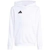 Bluza vaikams adidas Entrada 26 Hoody balta JZ6561 (116cm)