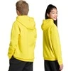 Bluza vaikams adidas Entrada 26 Hoody geltona JZ6564 (164cm)