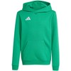 Bluza vaikams adidas Entrada 26 Hoody žalia JZ6563 (140cm)