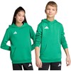 Bluza vaikams adidas Entrada 26 Hoody žalia JZ6563 (140cm)