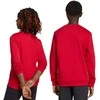 Bluza vaikams adidas Entrada 26 Sweat Top raudona JZ6556 (152cm)