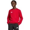 Bluza vaikams adidas Entrada 26 Sweat Top raudona JZ6556 (152cm)