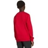 Bluza vaikams adidas Entrada 26 Sweat Top raudona JZ6556 (152cm)