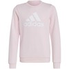 Adidas Dvigubo Logotipo Hoodies Jr IC6119