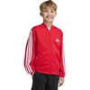 Bluza vaikams adidas Essentials Climacool raudona KQ9728 (128cm)
