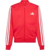 Bluza vaikams adidas Essentials Climacool raudona KQ9728 (128cm)