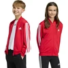 Bluza vaikams adidas Essentials Climacool raudona KQ9728 (128cm)