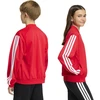 Bluza vaikams adidas Essentials Climacool raudona KQ9728 (128cm)