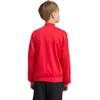 Bluza vaikams adidas Essentials Climacool raudona KQ9728 (128cm)