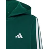 Bluza vaikams adidas Essentials Full-Zip žalia KT3373 (152cm)