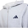 Bluza vaikams adidas Essentials Full-Zip Hoodie jasnoszara KQ9050 (164cm)