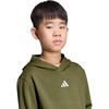 adidas Essentials džemperis su gobtuvu 225 alyvinis KS0367