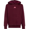 Bluza vaikams adidas Essentials Hoodie bordinė KT3380 (128cm)