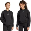Bluza vaikams adidas Essentials Hoodie juoda JC9772 (164cm)