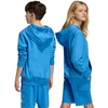 Bluza vaikams adidas Essentials Hoodie mėlyna KD3382 (176cm)