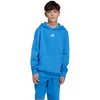 Bluza vaikams adidas Essentials Hoodie mėlyna KD3382 (176cm)