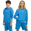 Bluza vaikams adidas Essentials Hoodie mėlyna KD3382 (176cm)