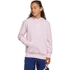 Bluza vaikams adidas Essentials Hoodie rožinė JC9773 (164cm)
