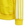 Džemperis vaikams Adidas Squadra 21 Hoody Youth Jr, GP6431, geltonas