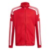 Bluza vaikams adidas Squadra 21 Training Youth raudona GP6458 (140cm)