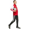 Bluza vaikams adidas Squadra 25 Training raudona JD4797 (152cm)