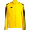 Bluza vaikams adidas Tiro 23 League Training geltona IC7874 (164cm)