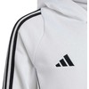 Bluza vaikams adidas Tiro 24 Hooded Sweat balta IR7506 (140cm)