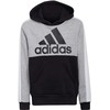 Adidas U CB FL Hoodie Jr HC5658 bliuzonas