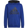 Adidas Big Logo Essentials Hoody Jr HN1912 džemperis