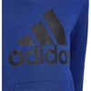 Adidas Big Logo Essentials Hoody Jr HN1912 džemperis