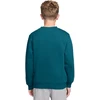 Bluza vaikams Nike Sportswear Club Fleece žalia FD3006 372 (XL)