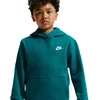 Bluza vaikams Nike Sportswear Club Fleece žalia FD3000 372 (XL)