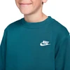 Bluza vaikams Nike Sportswear Club Fleece žalia FD3006 372 (XL)